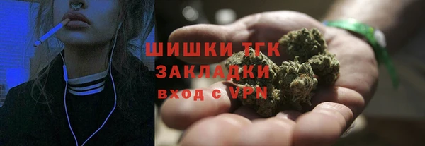 PSILOCYBIN Богданович