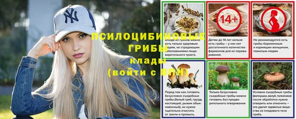 apvp Беломорск