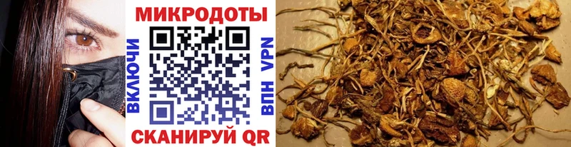 Псилоцибиновые грибы Magic Shrooms Володарск