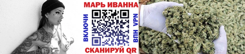 купить наркотики цена  Володарск  Конопля Amnesia 